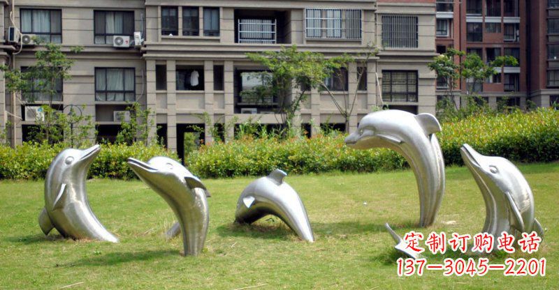 东莞海豚的浪漫