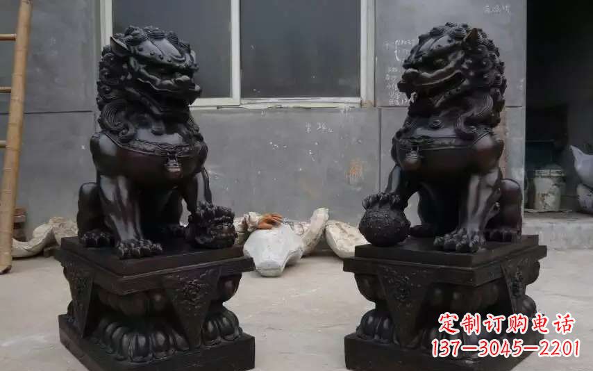东莞踩球镇的狮子之家